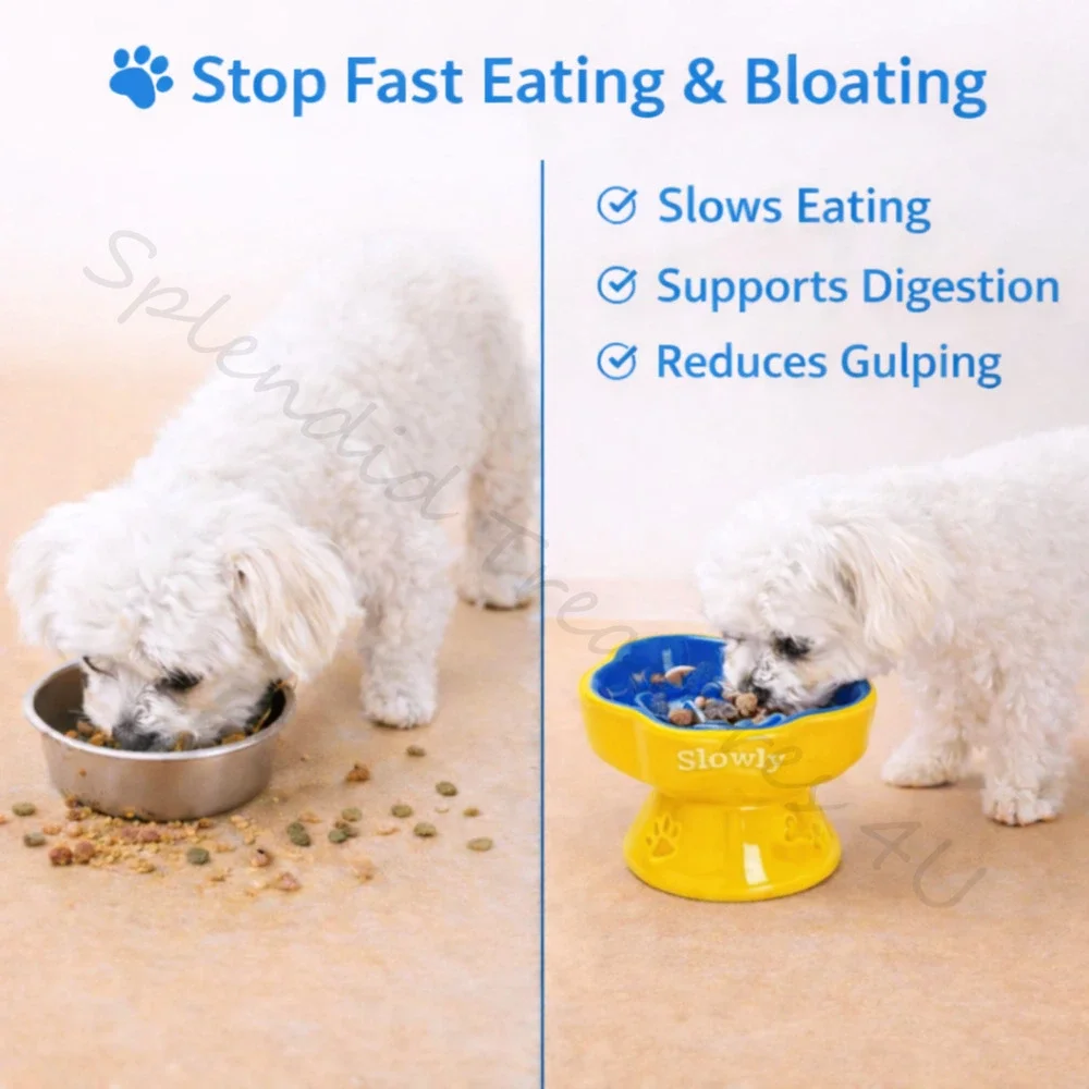 Raised Slow Feeder Dog Cat Food Bowl for Small Pets Blue Tilted Ceramic Dish